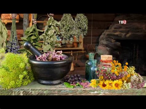 Травяной чай от простуды и гриппа из аптеки - список ингредиентов