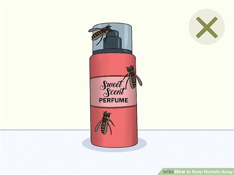 3 Ways To Keep Hornets Away Wikihow