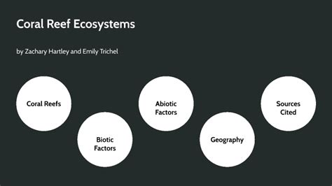 Coral Reef Ecosystem Presentation By Zachary Hartley On Prezi