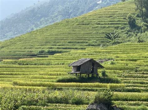 The Most Beautiful Terraced Fields Trekking Getyourguide