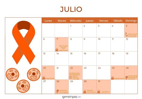 Calendario Gen Tico Julio Genotipia