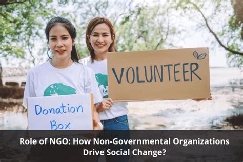 role  ngos social  action