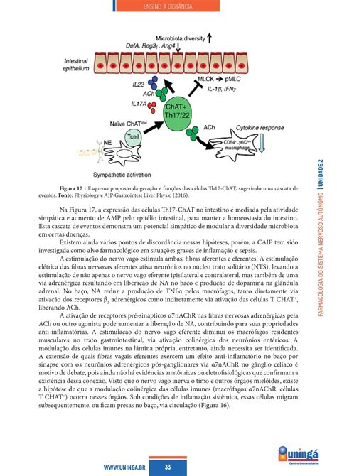 Farmacologia do sistema nervoso autônomo diagramadoread2 Página 33