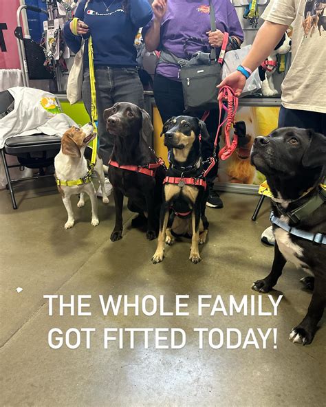 Fredericksburg Pet Palooza