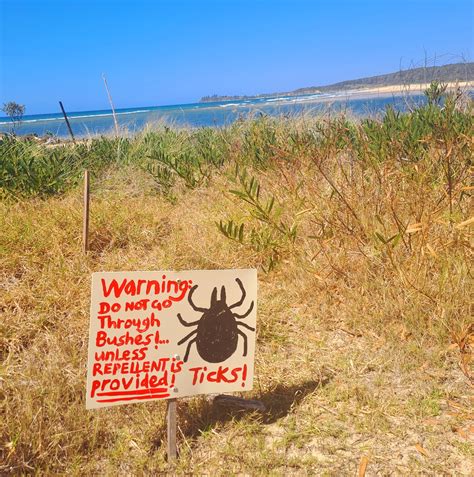 Healthy Flow - Naturopathy, Detox & Drainage - 𝐋𝐢𝐯𝐢𝐧𝐠 𝐨𝐫 𝐓𝐫𝐚𝐯𝐞𝐥𝐢𝐧𝐠 𝐭𝐨