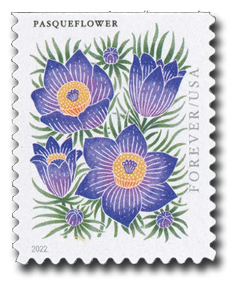 5676 - 2022 First-Class Forever Stamp - Mountain Flora (booklet ...