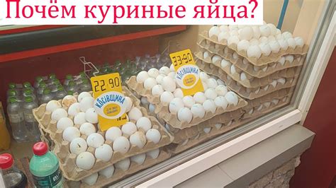 Бродилка по рынку. Сколько стоит куриное яйцо, сгущенка? - YouTube