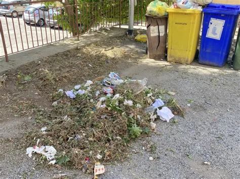 Verde Pubblico A Viale Isonzo La Pulizia Autogestita