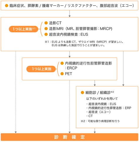 膵臓がんのステージ分類と検査、治療戦略とは がんプラス