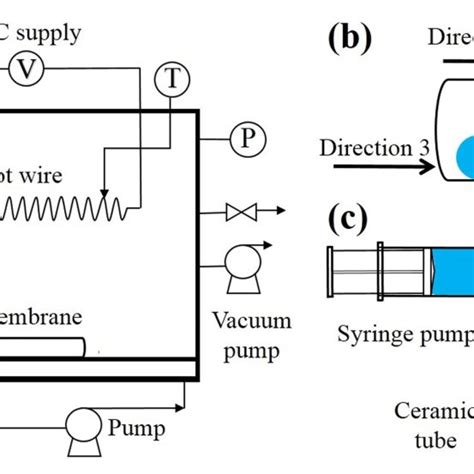 Schematic Diagram Of A The Initiated Chemical Vapor Deposition And Download Scientific