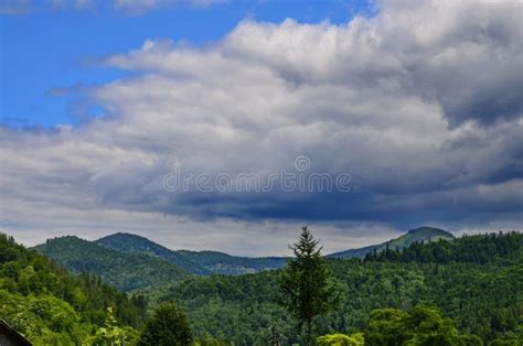 Berglandschaften Im Sommer Stockbild Bild Von Wald