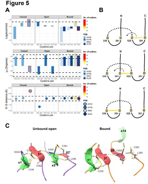 Characterization Of The Conserved Sars Cov Rbd Cysteine Pairs A