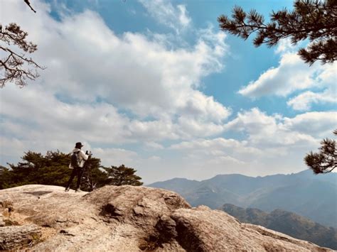 충북 단양 가볼만한곳 단양 도락산 등산코스 월악산 국립공원 블랙야크 100대 명산 볼거리 많은 돌산 도락산 네이버 블로그