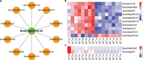 Frontiers Integrative Analysis Of Physiology Biochemistry And