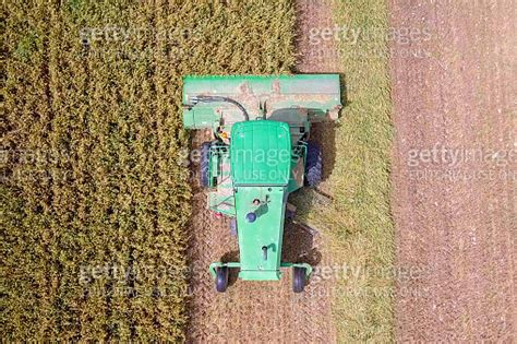 Green John Deere Combine Harvesting Wheat For Silage In A Large Field