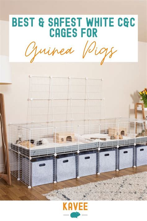 The Best Cages For Guinea Pigs Artofit