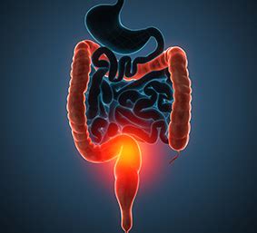 Division Of Gastroenterology Hepatology Mcgill University