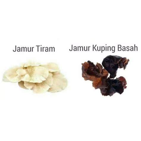 Jual Jamur Tiram Jamur Kuping Basah Per Gram Shopee Indonesia