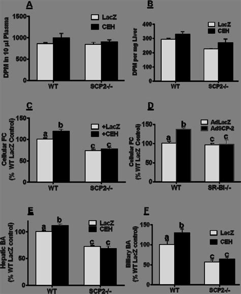 Effects Of CEH Over Expression On The Flux Of HDL 3 H CE In