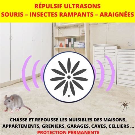 Répulsif Ultrasons ACTO Souris Insectes Rampants 45m² Cdiscount