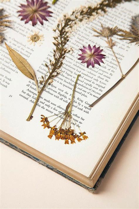 Pin by Ксения Белецкая on винтаж in 2020 | Pressed flower art, Flower ...