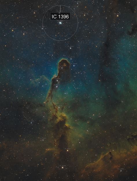 Elephant S Trunk Nebula In Hubble Palette Ettore Nobili AstroBin