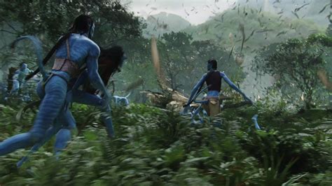 Image - Hometree falling.jpg | Avatar Wiki | FANDOM powered by Wikia