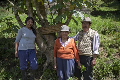 Agricultura Orgánica En Colombia Colombia Verde