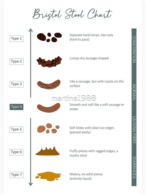 "Bristol Stool chart" Poster for Sale by martina1988 | Redbubble