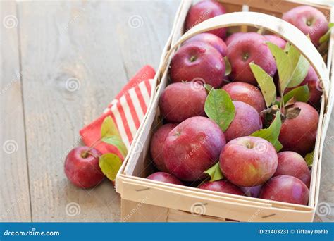 Basket of Fresh Picked Apples Stock Image - Image of nutritious ...