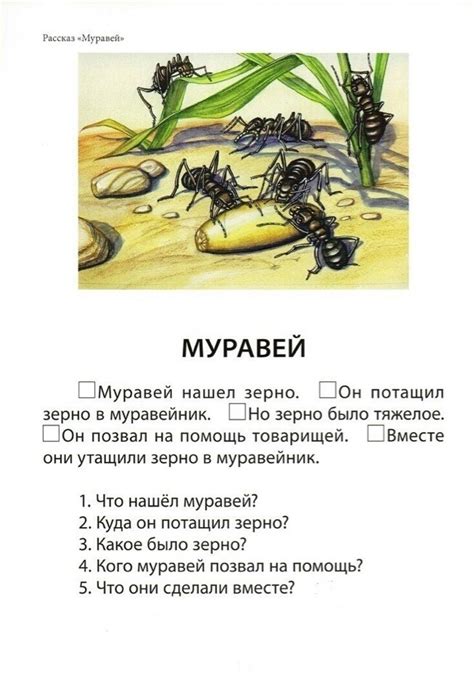 Учимся пересказывать(1) - Məktəbli