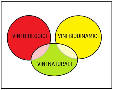 Vini Biologici Biodinamici E Naturali Caratteristiche E Differenze