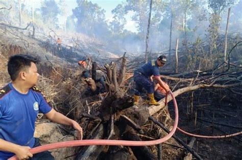 136 Titik Panas Terdeteksi Di Kalimantan Timur ANTARA News Kalimantan