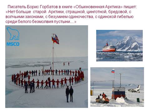 «Обыкновенная Арктика» - 32079-20