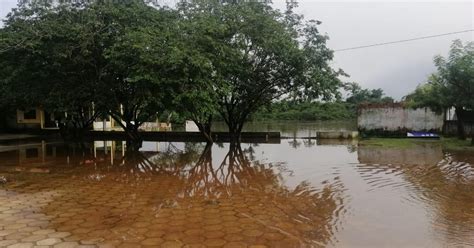 Alpanir Mesquita Em Nina Rodrigues Fortes Chuvas Elevam N Vel Do Rio