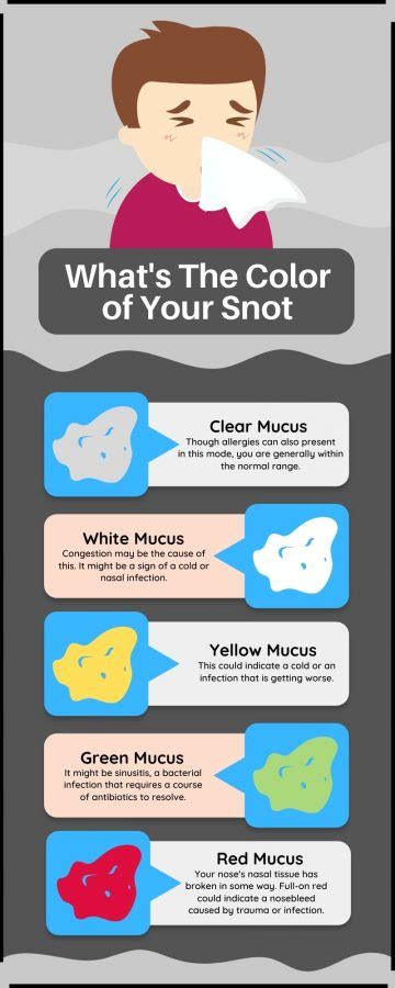 What Are Mucus And Phlegm Meaning Of Snot Color