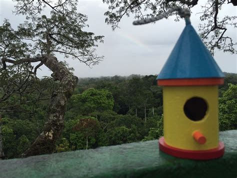 Project Birdhouse: Yasuni National Park, Ecuador