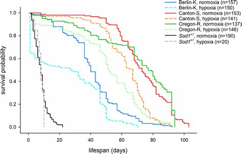 Kaplan Meier Survival Curves Survival Curves For Three Wild Type