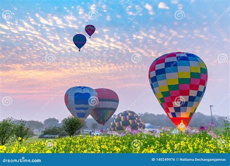 Hot Air Balloons Flying Over Flower Field With Sunrise At Chiang Rai