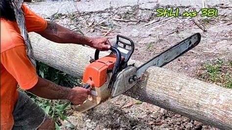 Gergaji Mesin Stihl Ms Tebang Pohon Akasia Dibuat Usuk Dengan