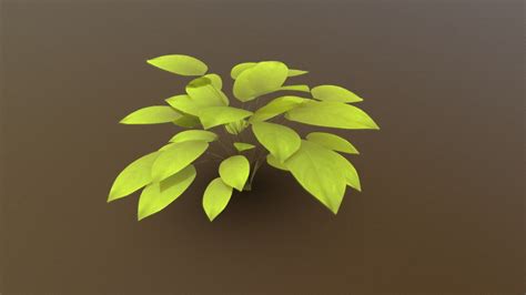 plantsimple    model  cgleison caa