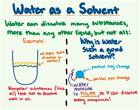 Water As A Solvent — Overview And Importance Expii