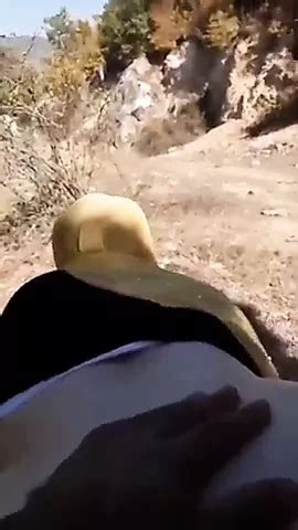 Muslim Egyptian Niqab Sharmota Wife Wife Porn Xhamster