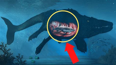 Unbelievable The Largest Sea Monsters Ever Recorded Youtube