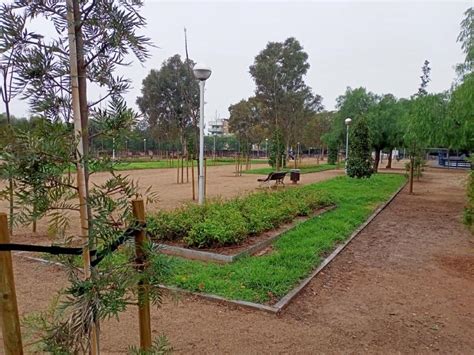 Replantan el Parc Manel Albinyana para recuperar los árboles perdidos