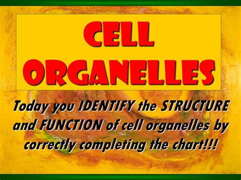 Cell Organelles Structure Function Chart - Ponasa