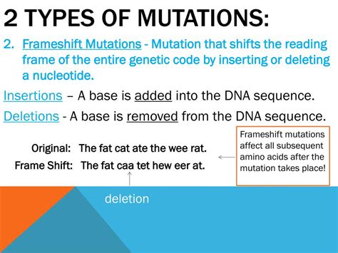 PPT - GENE EXPRESSION & MUTATIONS IN DNA PowerPoint Presentation - ID ...