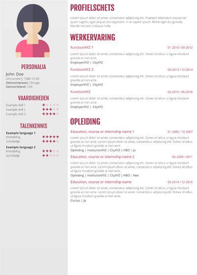 Voorbeeld Cv Zorg Sollicitatiebrief En Cv Web