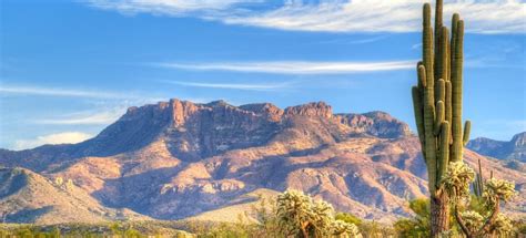 Deserto di Sonora Attività estive il MEGLIO del 2024 Cancellazione