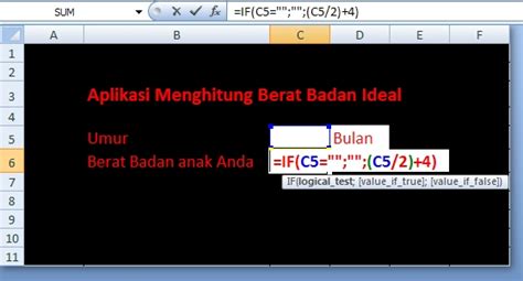 New Cara Menghitung Berat Badan Ideal Dengan Excel Mudah Pemula